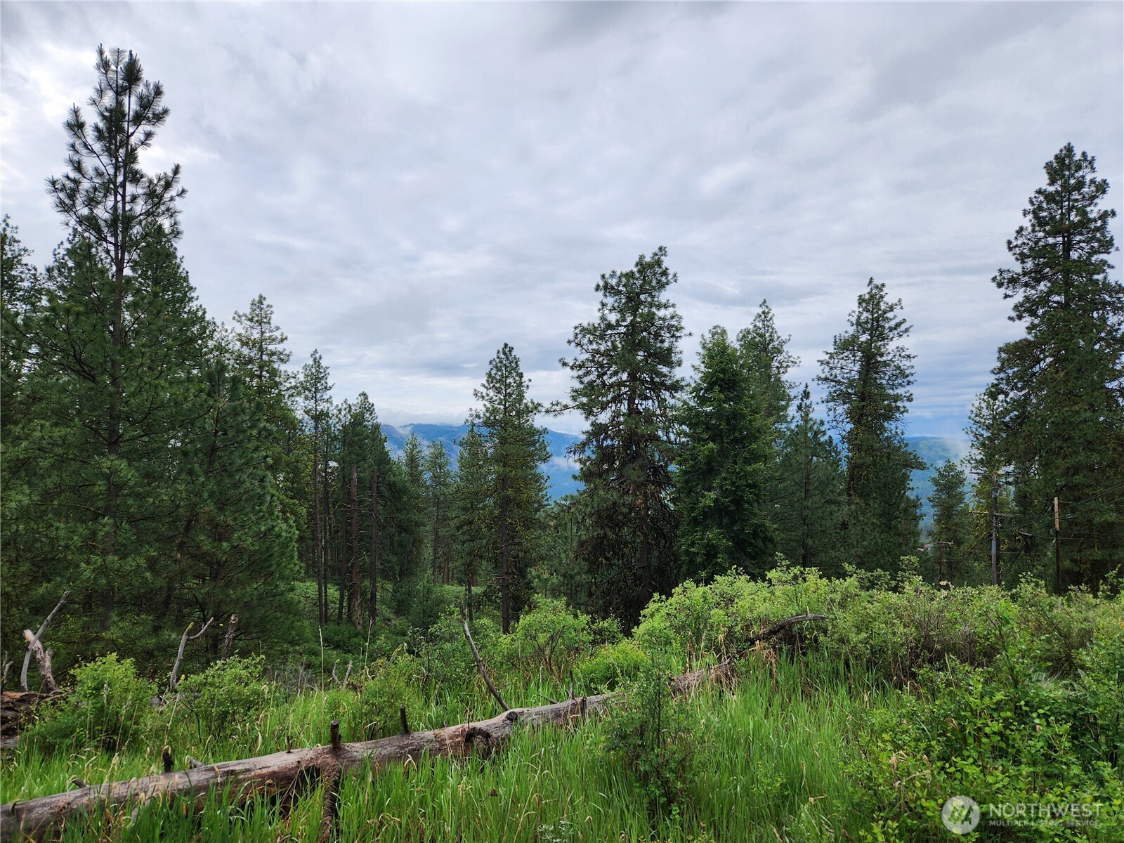 0 Gold Mt. Road Republic WA 99166