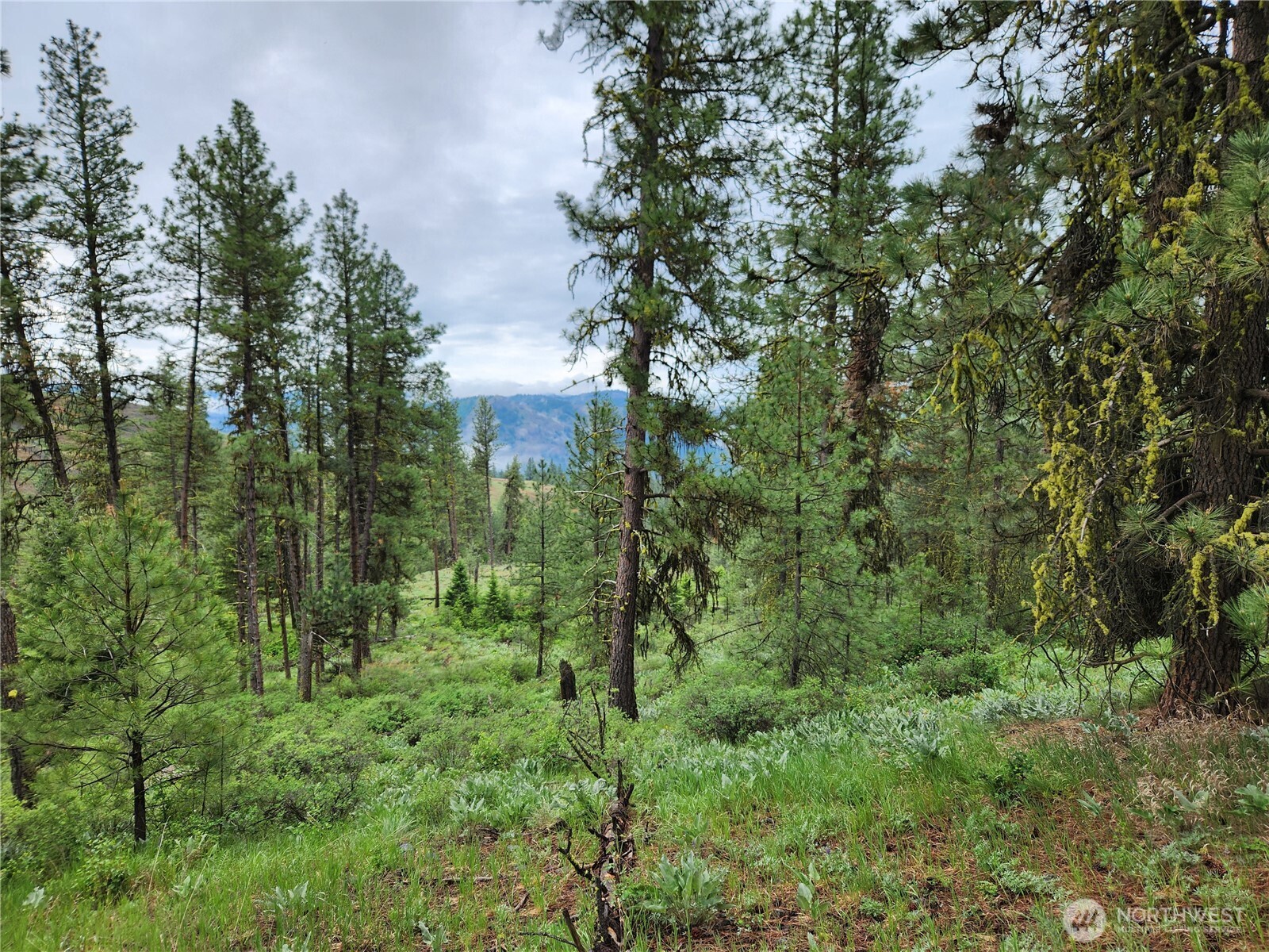 0 Gold Mt. Road Republic WA 99166