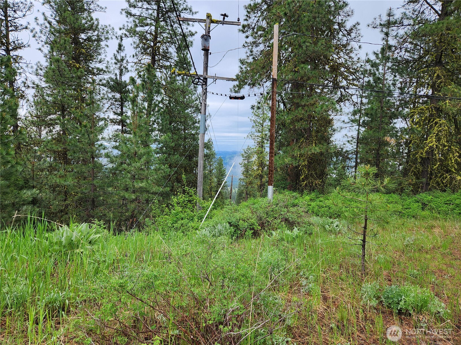 0 Gold Mt. Road Republic WA 99166