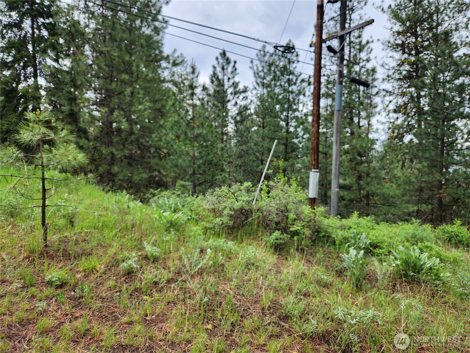 0 Gold Mt. Road Republic WA 99166
