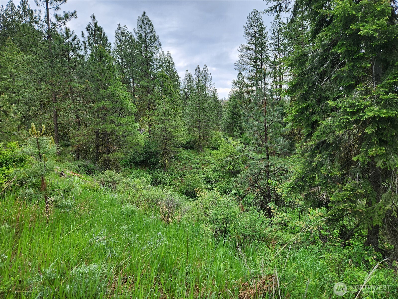 0 Gold Mt. Road Republic WA 99166