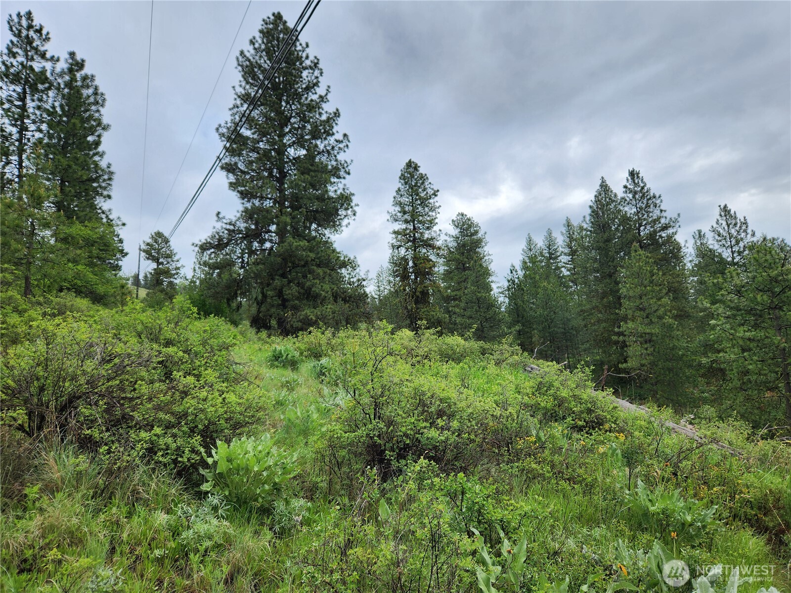 0 Gold Mt. Road Republic WA 99166