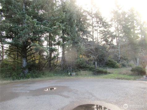 311 Sycamore Court Ocean Shores WA 98569