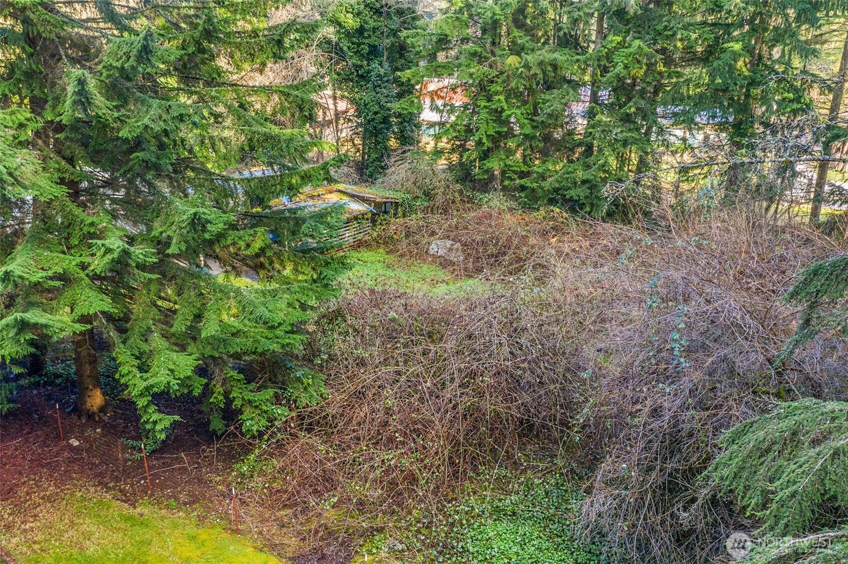 20115 49th Drive SE Bothell WA 98012