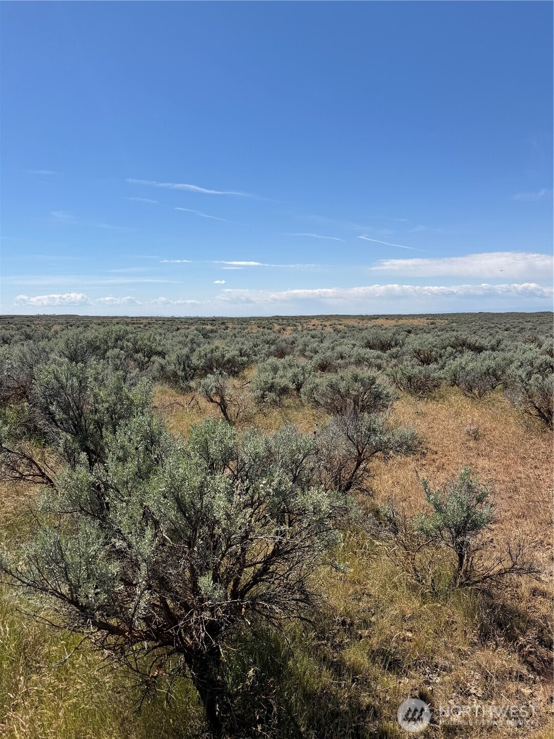 0 Eagle Springs Ranch Wilson Creek WA 98860