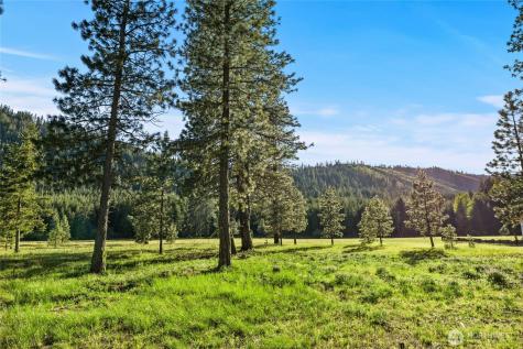 20 Domerie Park Loop Cle Elum WA 98922