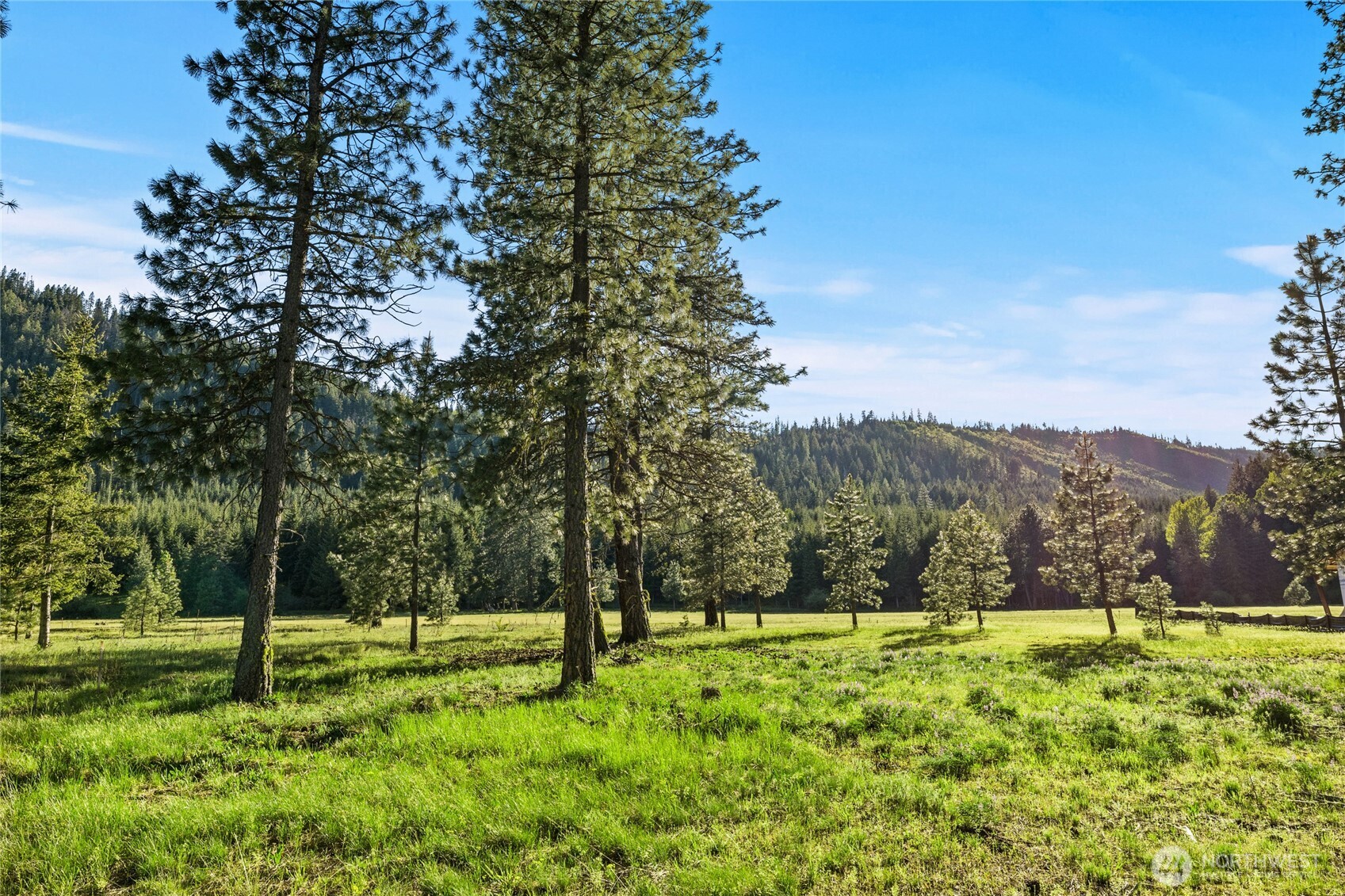 20 Domerie Park Loop Cle Elum WA 98922