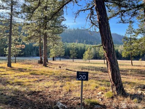 20 Domerie Park Loop Cle Elum WA 98922