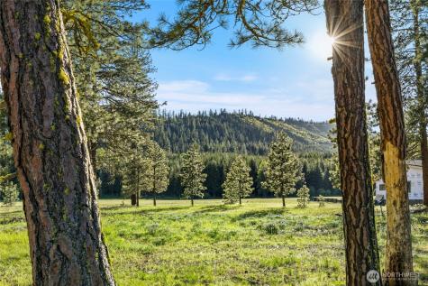 20 Domerie Park Loop Cle Elum WA 98922