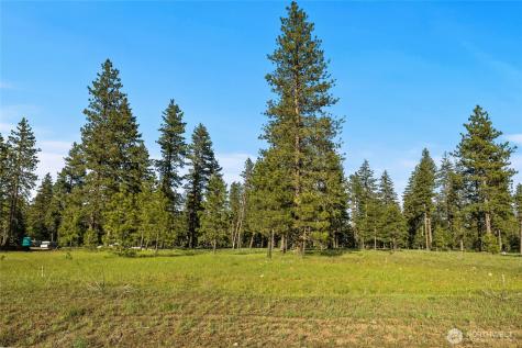 20 Domerie Park Loop Cle Elum WA 98922