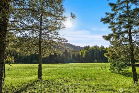 20 Domerie Park Loop Cle Elum WA 98922