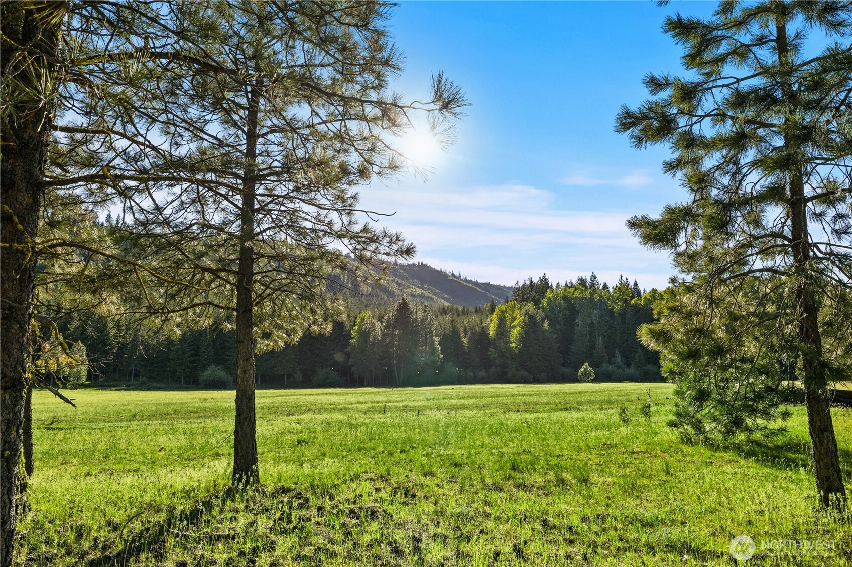 20 Domerie Park Loop Cle Elum WA 98922