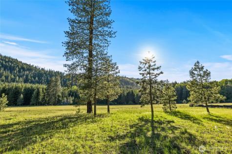 20 Domerie Park Loop Cle Elum WA 98922