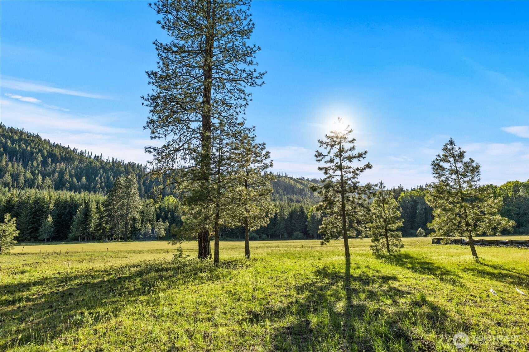 20 Domerie Park Loop Cle Elum WA 98922