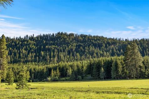 20 Domerie Park Loop Cle Elum WA 98922