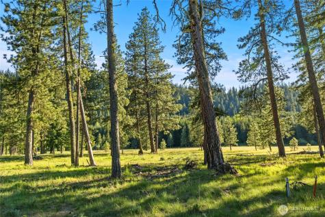 20 Domerie Park Loop Cle Elum WA 98922