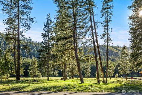 20 Domerie Park Loop Cle Elum WA 98922