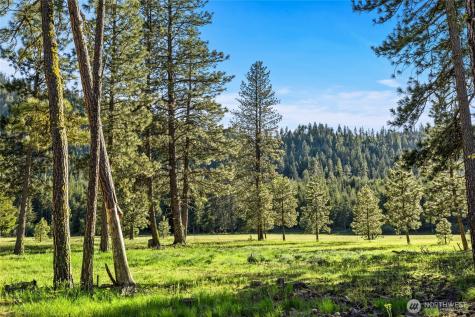 20 Domerie Park Loop Cle Elum WA 98922