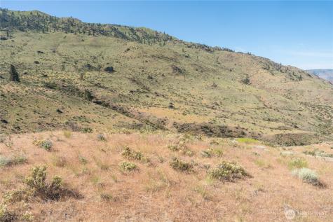 0 Tract 6 Mcneil Canyon Road Orondo WA 98816