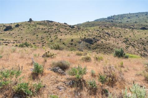 0 Tract 6 Mcneil Canyon Road Orondo WA 98816