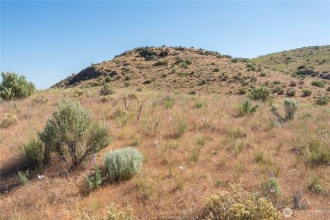 0 Tract 6 Mcneil Canyon Road Orondo WA 98816