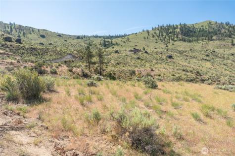 0 Tract 6 Mcneil Canyon Road Orondo WA 98816
