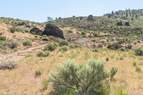 0 Tract 6 Mcneil Canyon Road Orondo WA 98816