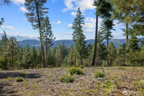 9 Red Sky Way Cle Elum WA 98922