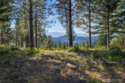 9 Red Sky Way Cle Elum WA 98922