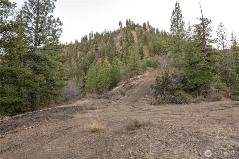 185 Mad Ranch Lane Entiat WA 98822
