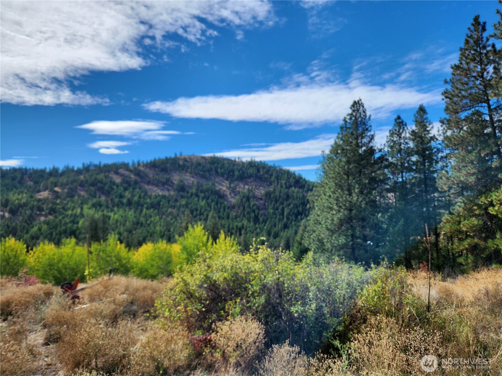 18 Robin Road Republic WA 99166