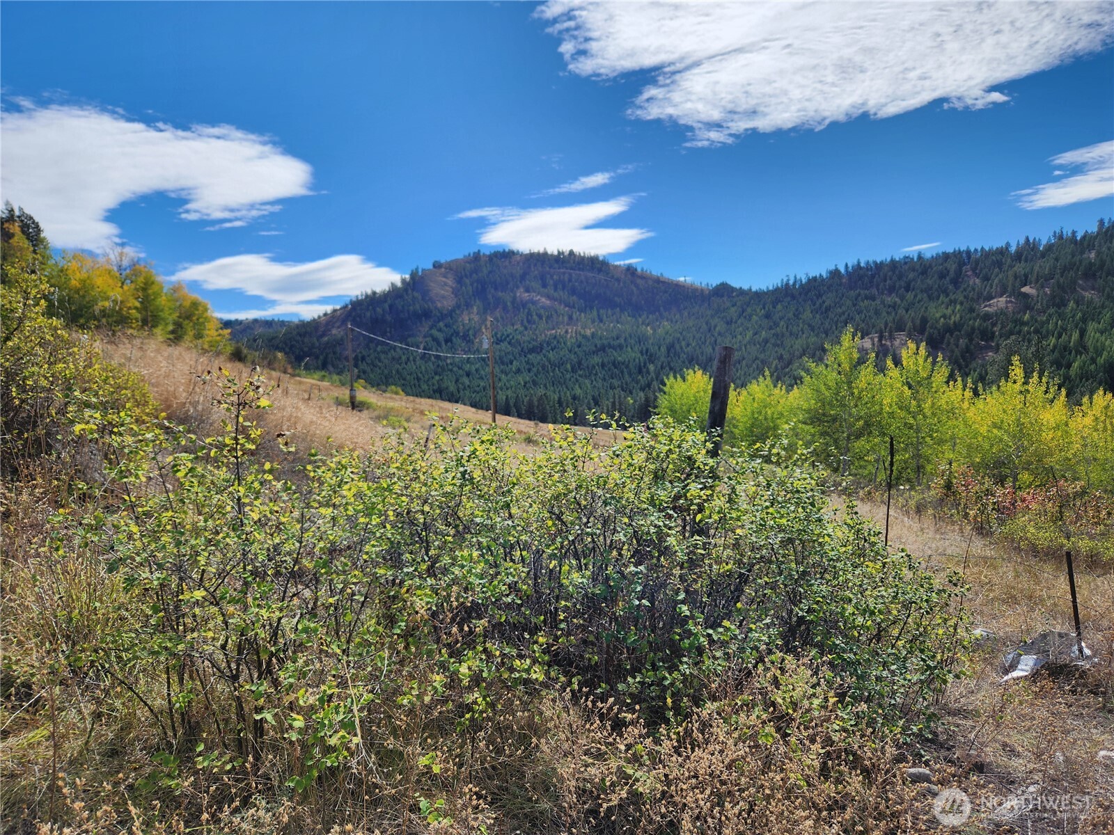 18 Robin Road Republic WA 99166