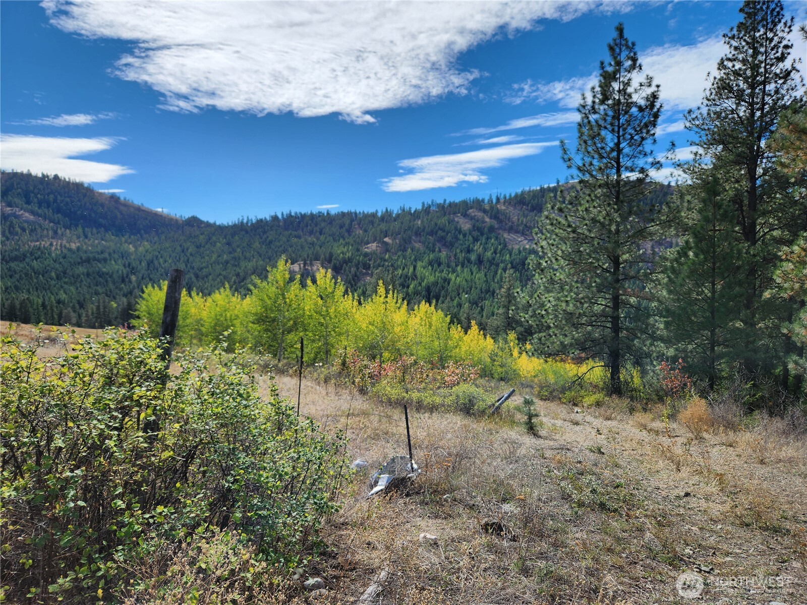 18 Robin Road Republic WA 99166
