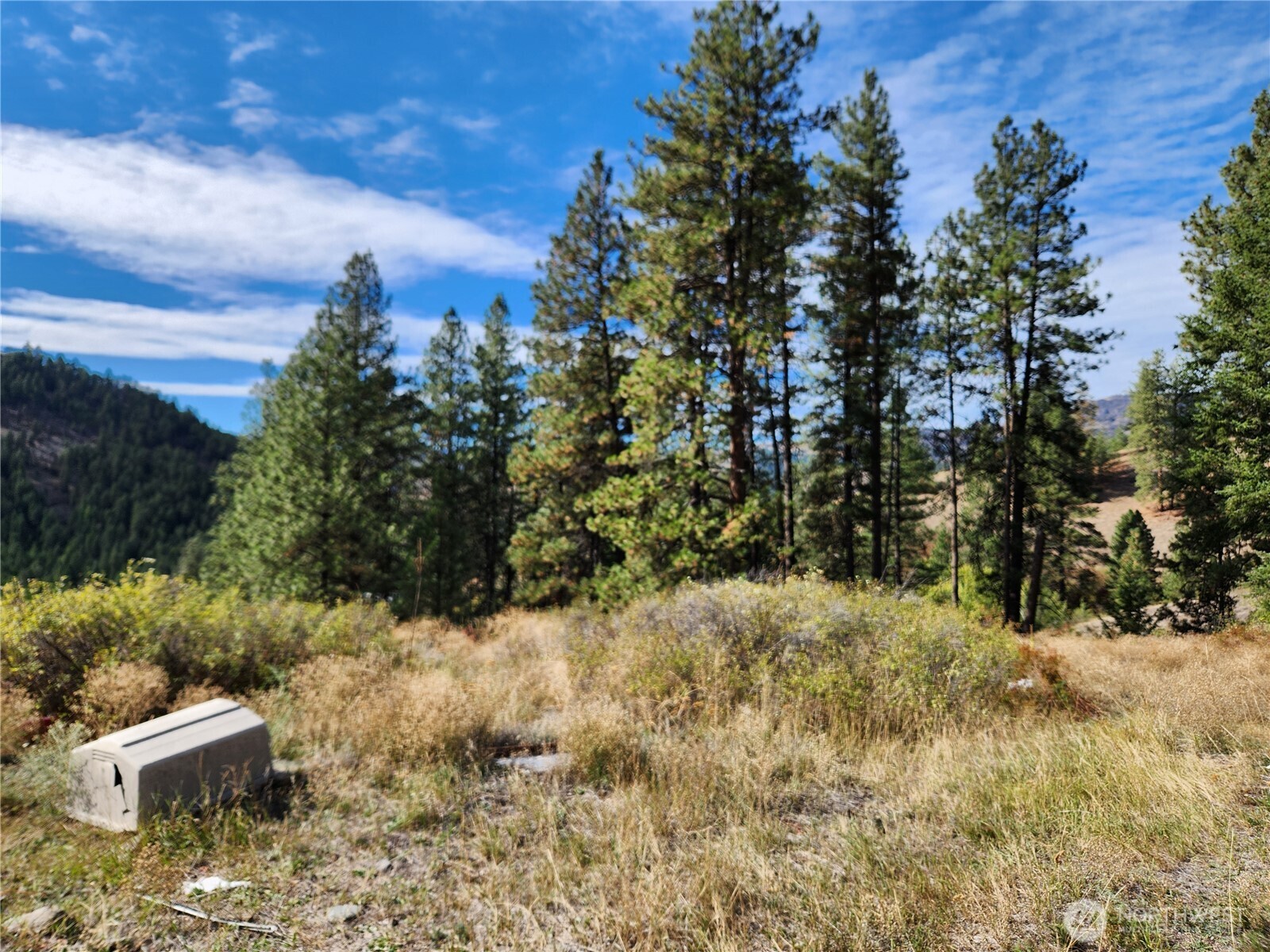 18 Robin Road Republic WA 99166