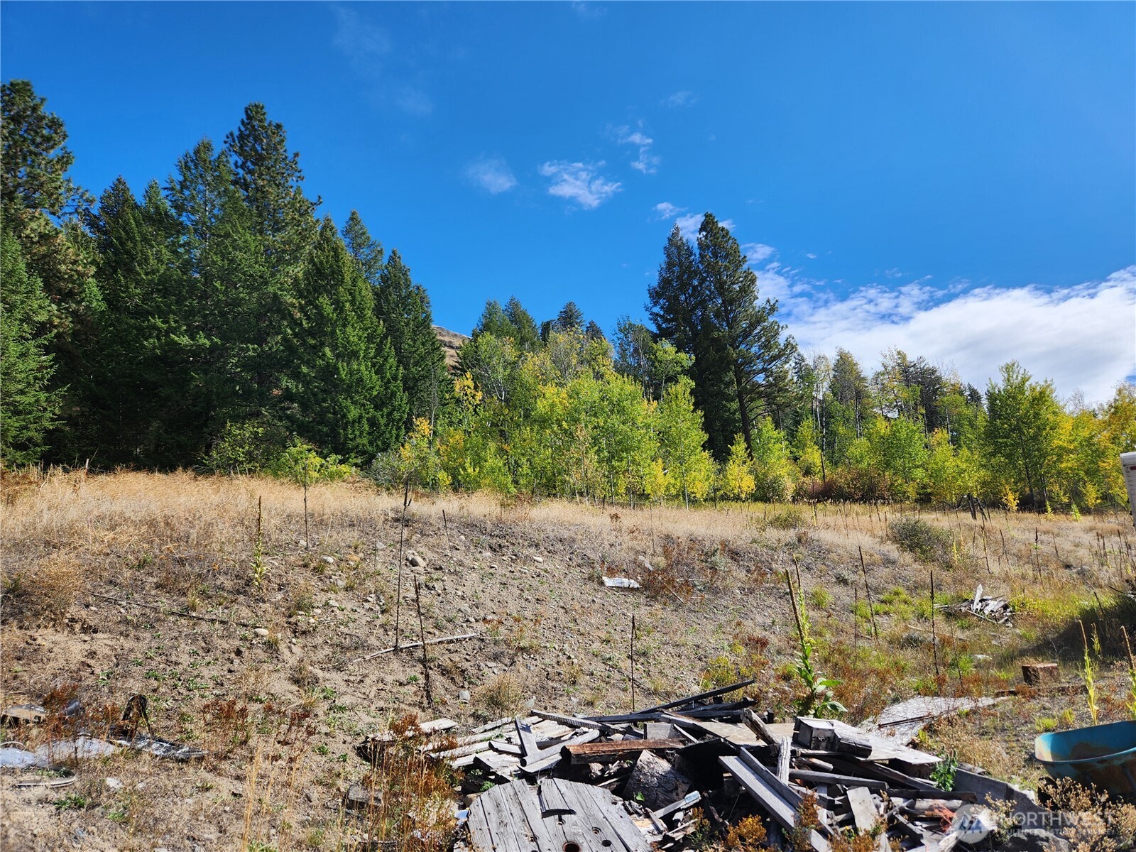 18 Robin Road Republic WA 99166
