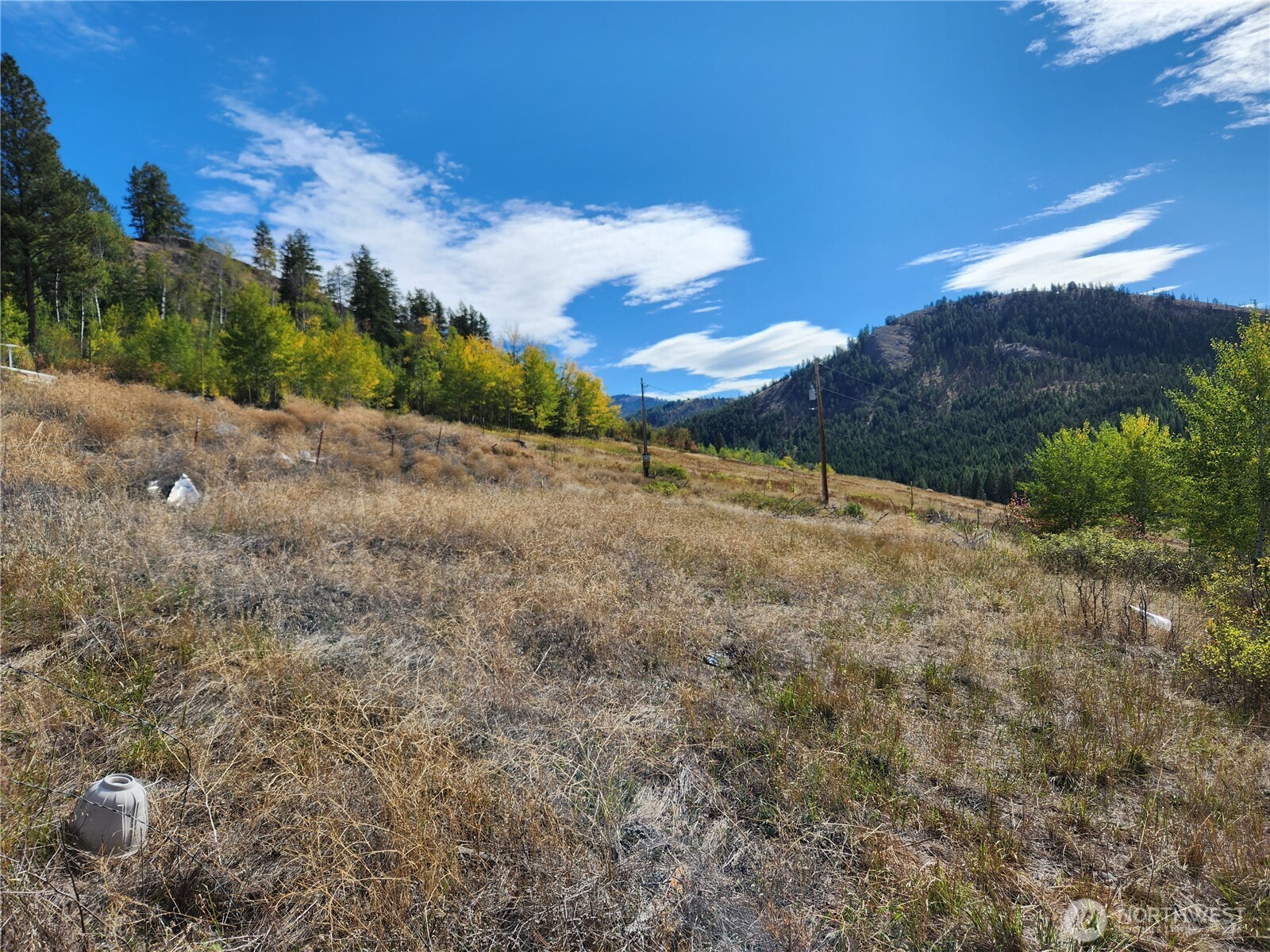 18 Robin Road Republic WA 99166
