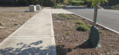 10814 SE 173 Street Renton WA 98055