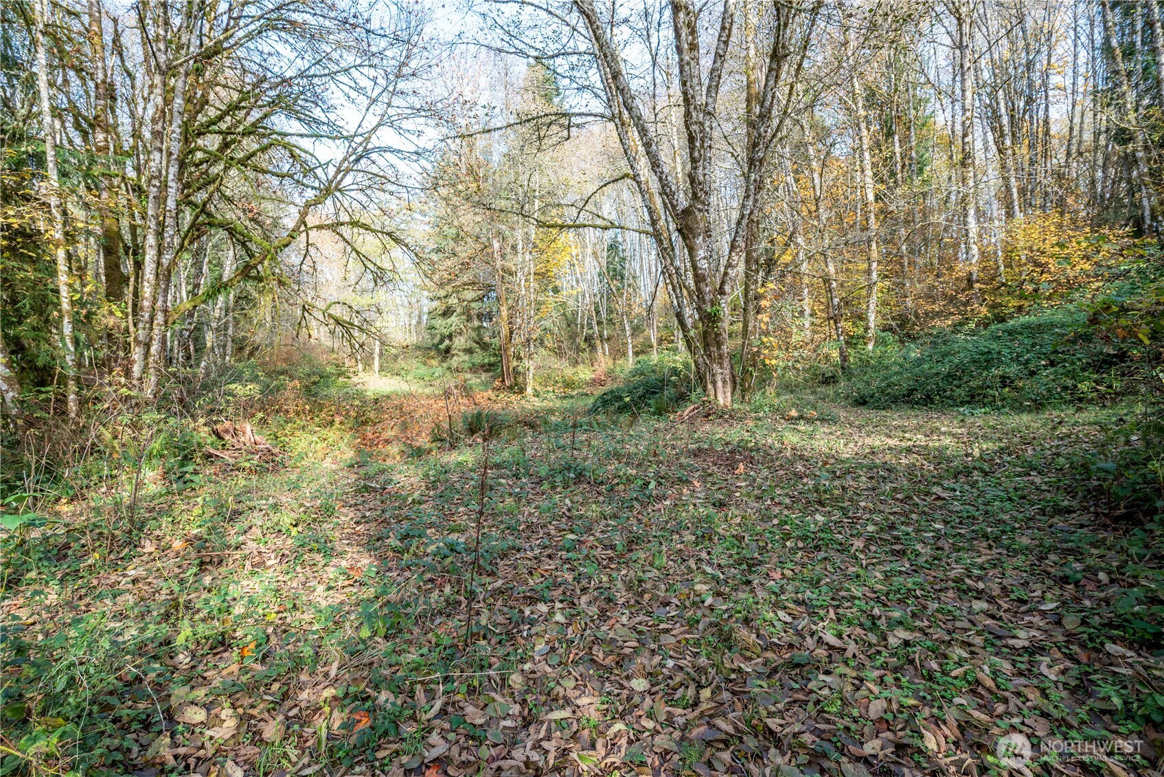 942 Stella Road Longview WA 98632