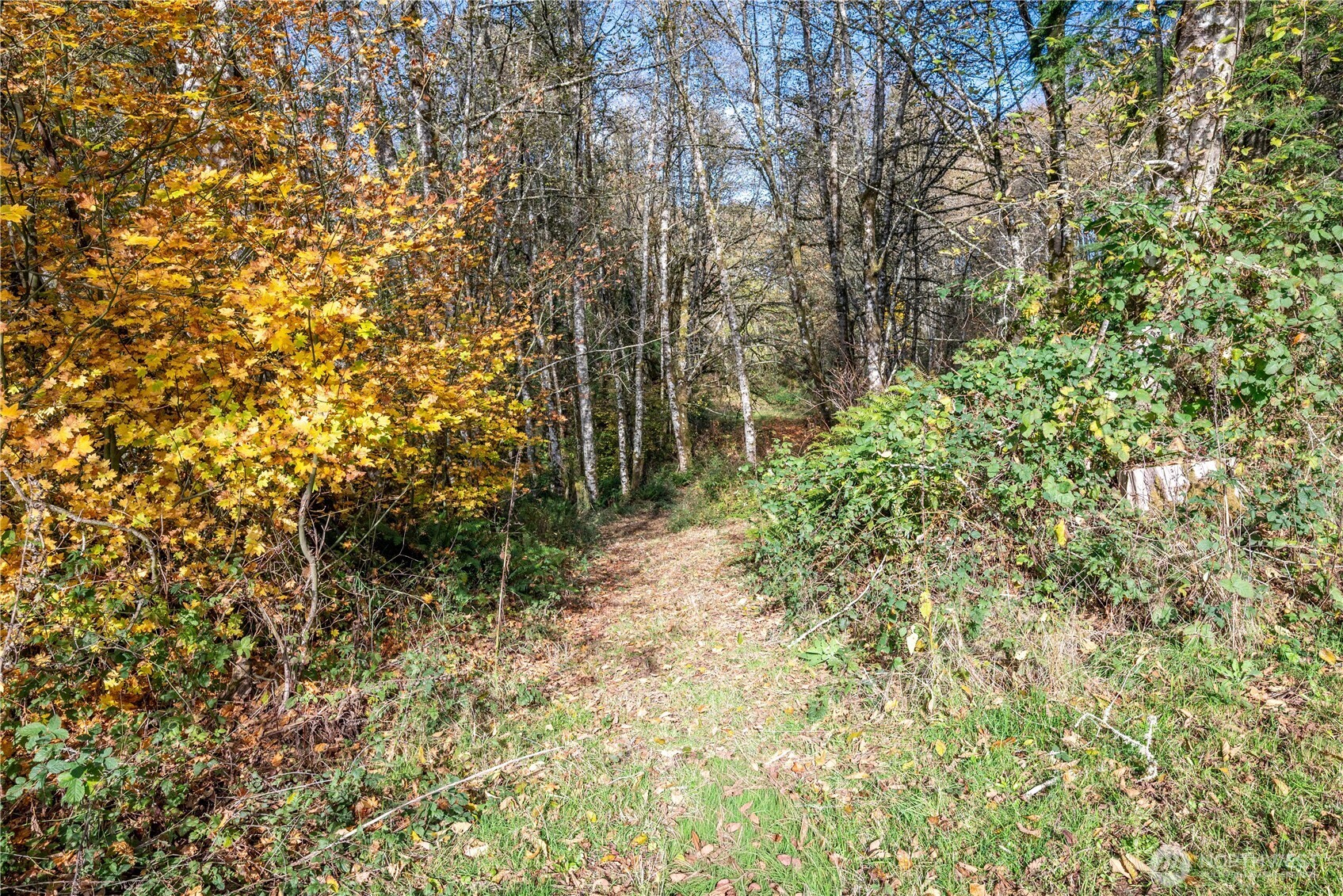 942 Stella Road Longview WA 98632