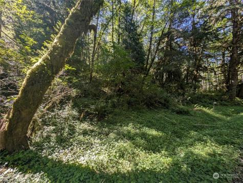 99994 Dowans Creek Road Forks WA 98331