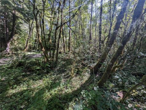 99994 Dowans Creek Road Forks WA 98331