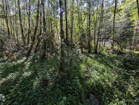 99994 Dowans Creek Road Forks WA 98331