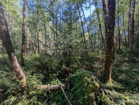 99994 Dowans Creek Road Forks WA 98331