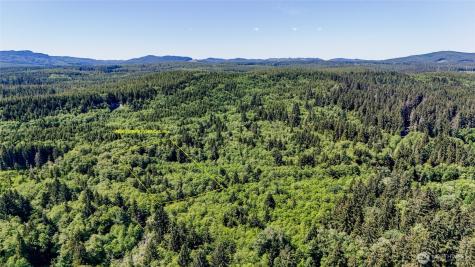 99994 Dowans Creek Road Forks WA 98331