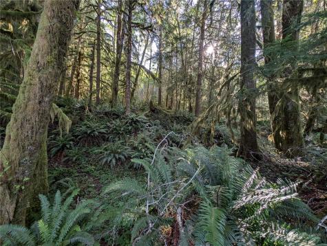99994 Dowans Creek Road Forks WA 98331