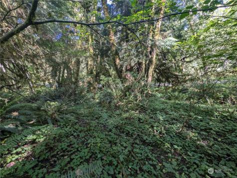 99994 Dowans Creek Road Forks WA 98331
