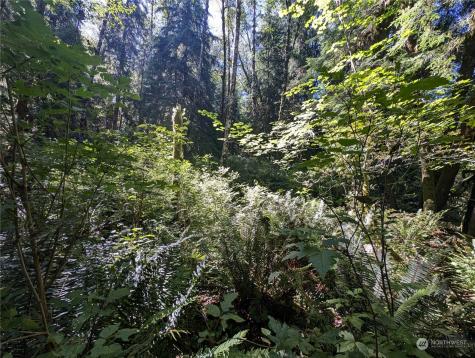99994 Dowans Creek Road Forks WA 98331