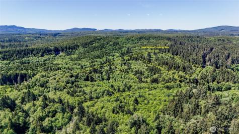 99994 Dowans Creek Road Forks WA 98331