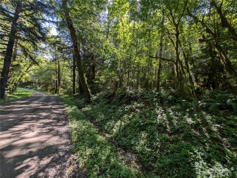 99994 Dowans Creek Road Forks WA 98331