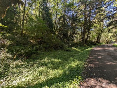 99994 Dowans Creek Road Forks WA 98331